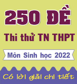 250 Đề thi thử THPTQG Sinh 2022